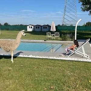 Iris Bed & Breakfast